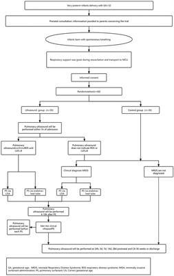 Prospective, non-blinded, randomized controlled trial on early administration of pulmonary surfactant guided by lung ultrasound scores in very preterm infants: study protocol